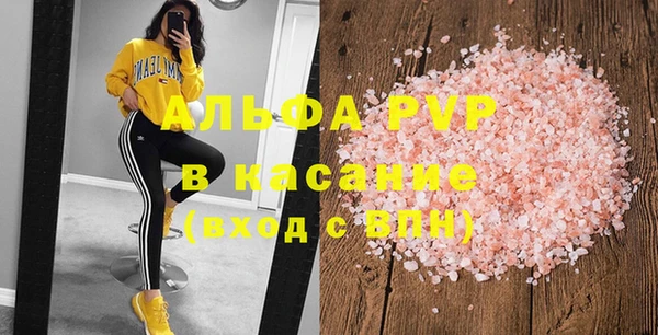 сатива Беломорск