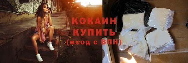 сатива Беломорск