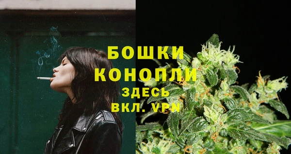 сатива Беломорск