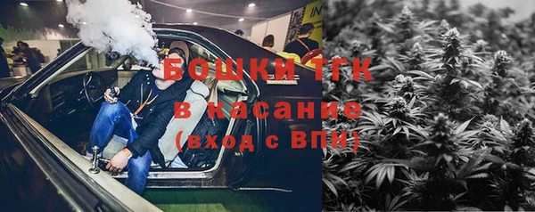 сатива Беломорск