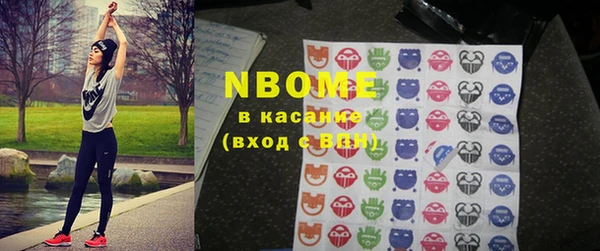 сатива Беломорск