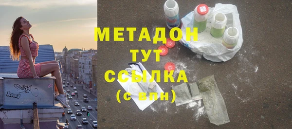 сатива Беломорск