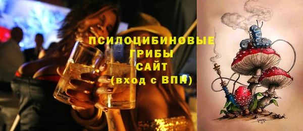 сатива Беломорск