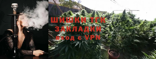 сатива Беломорск