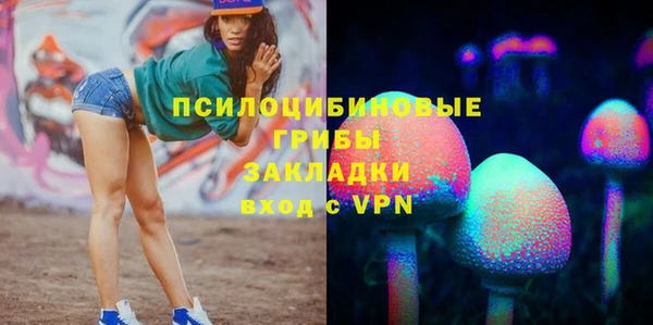 мдпв Белокуриха