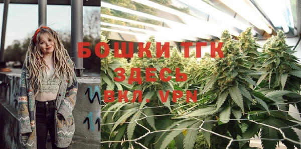 мдпв Белокуриха