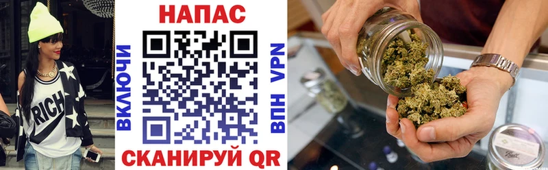 Бошки Шишки конопля Высоковск